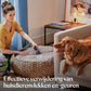 BISSELL SpotClean Pet Pro Draagbare Vlekkenreiniger - Krachtige 750W Motor voor Huisdierenvlekken