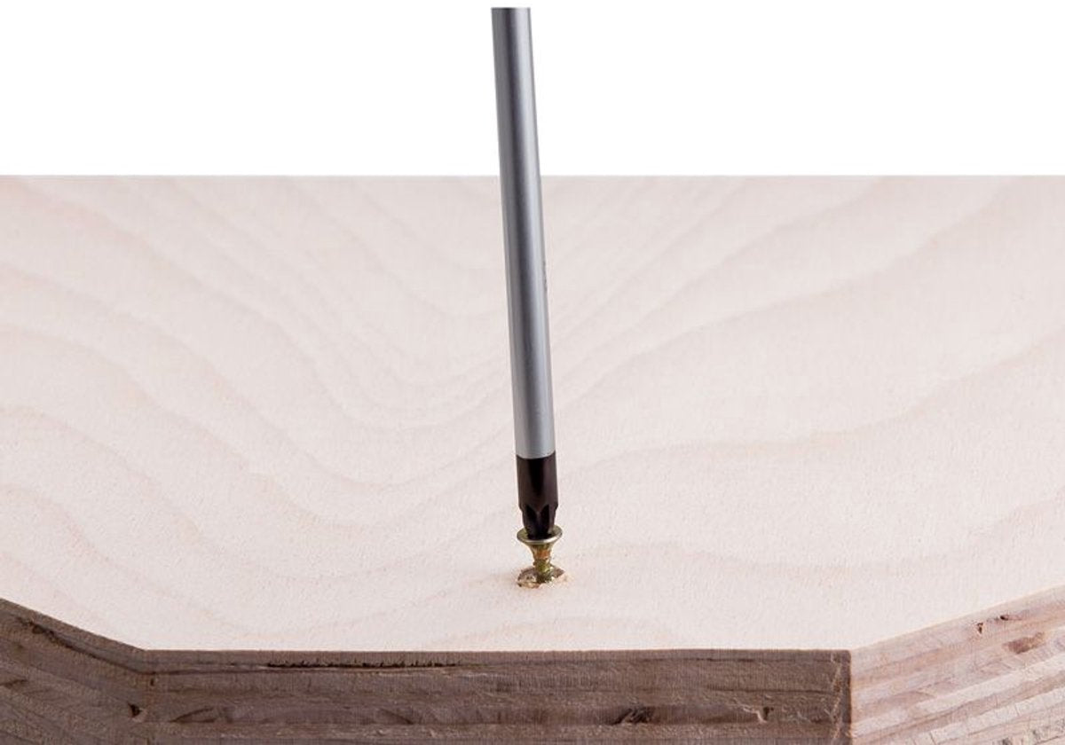 Bosch Professionele Schroevendraaierset 6-delig: SL, PH, PZ, TX. Duurzaam Gereedschap