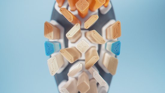 Philips Sonicare Premium All-in-One Opzetborstels Zwart, 6 Stuks, HX9096/88