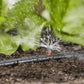 GARDENA Micro-Drip-System Startset Druppelsysteem Bloembed en Moestuin 25 Meter