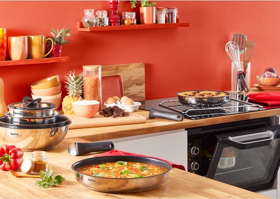 Tefal Ingenio Emotion Pannenset 20-delig