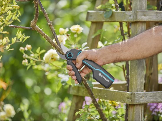 GARDENA AssistCut Accu Snoeischaar 25mm