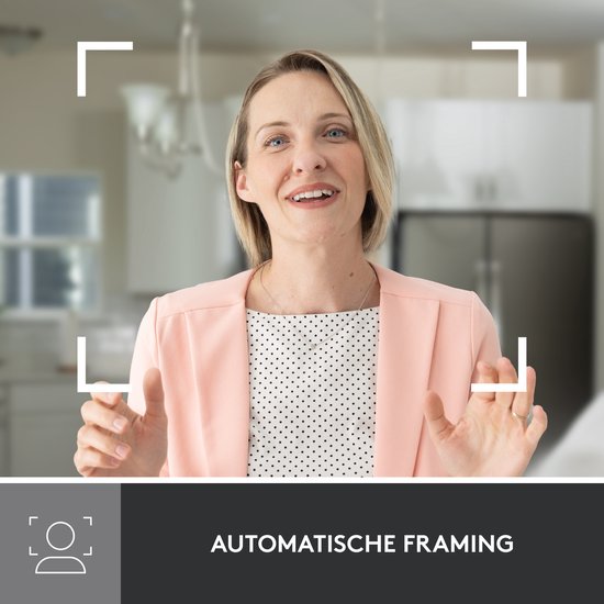 Logitech Brio 500 Full HD Webcam Roze 1080p/30fps Automatische Correctie