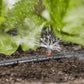 GARDENA Micro-Drip-System Startset Druppelsysteem Bloembed en Moestuin 25 Meter - MR commerce