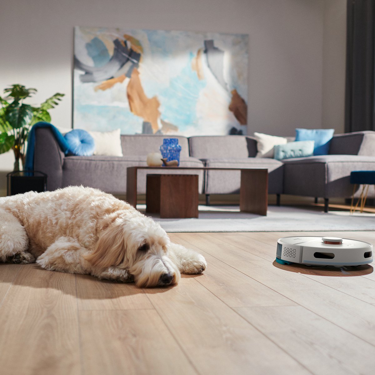 Philips HomeRun 2000 Series XU2000/20 Robotstofzuiger met Dweilfunctie, Wit - MR commerce