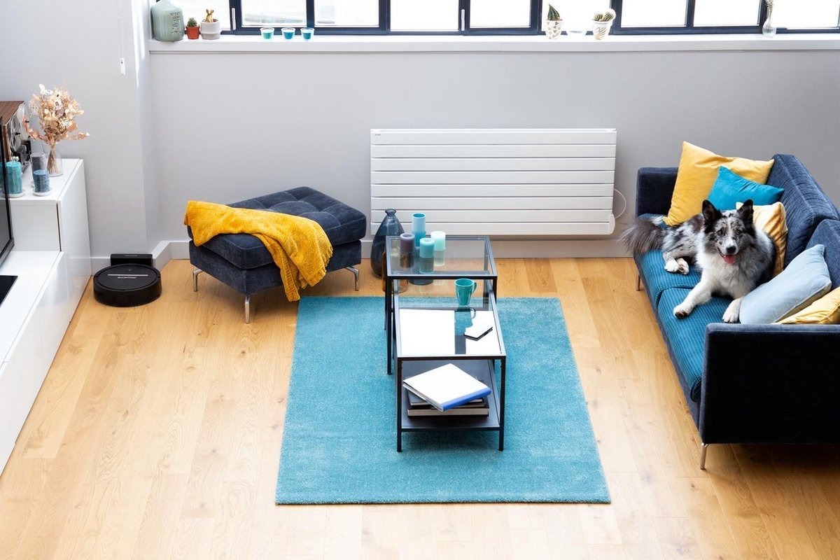 Rowenta Explorer Serie 80 | RR7755 | 3221614007026 | robot stofzuiger - MR commerce